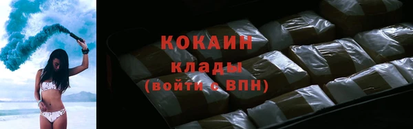гидра Инсар
