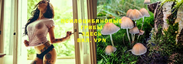 каннабис Инта