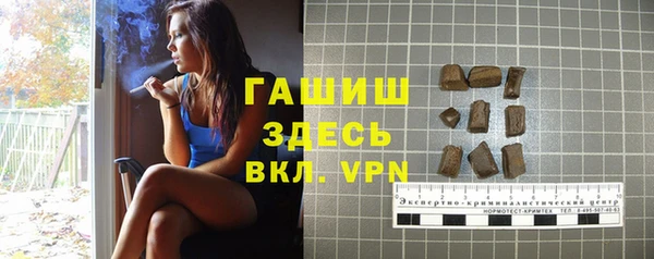 гидра Инсар
