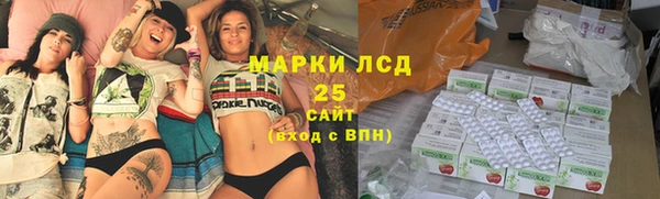 гидра Инсар