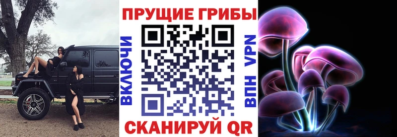 Купить закладки  Гремячинск  Псилоцибиновые грибы MAGIC MUSHROOMS 